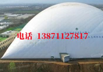 道真气膜棚卷帘门,电动门
